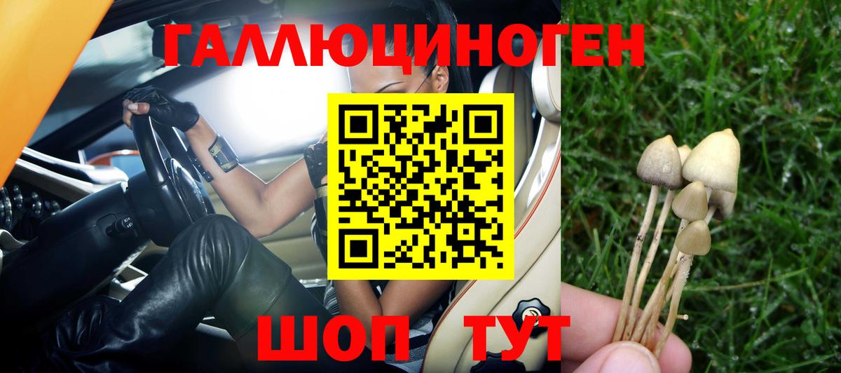Псилоцибиновые грибы Magic Shrooms Рославль